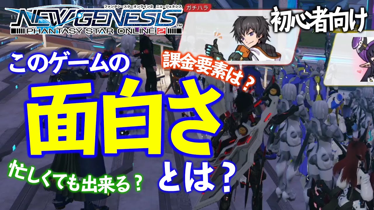 【PSO2:NGS】初心者向け！どんな人が楽しめるゲームなの？忙しいけど出来る？無課金でもできる？気になる所答えます！【期待の新作 攻略・解説動画】