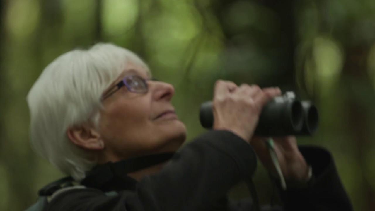 Sanctuary Mountain Maungatautari - Through the eyes of our volunteers