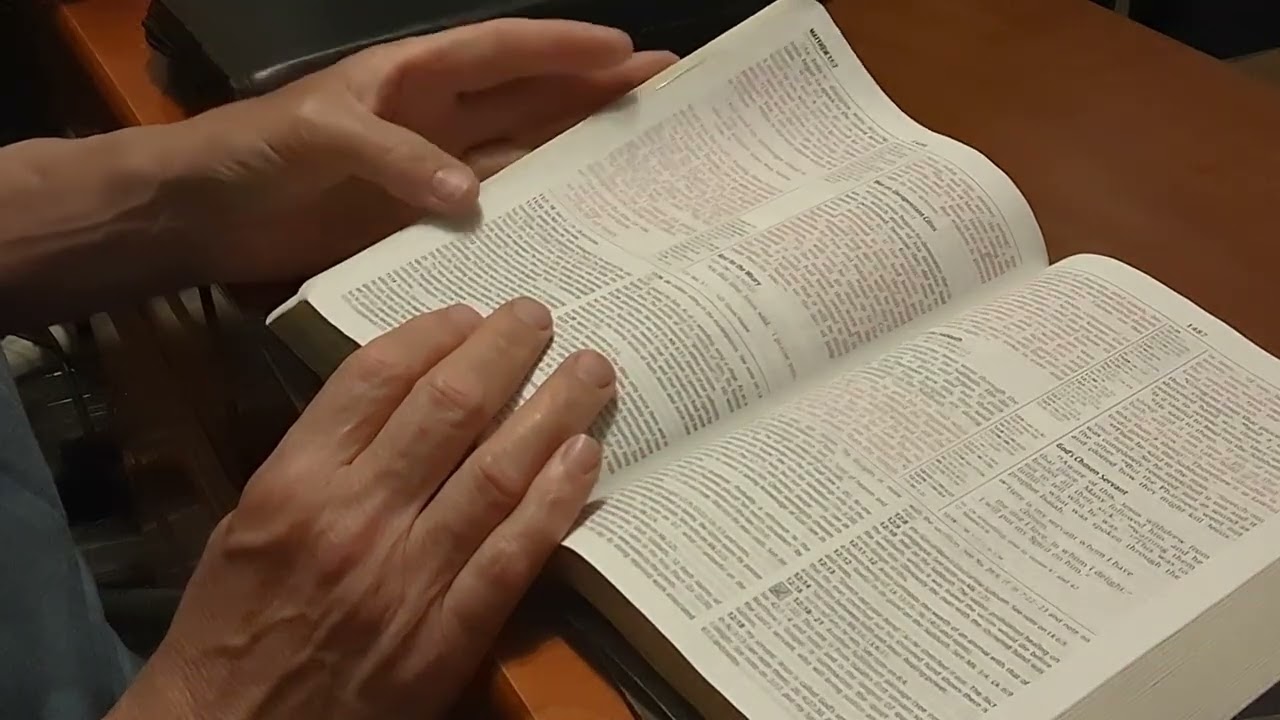 Cool Bible Find NIV '84 Study Bible