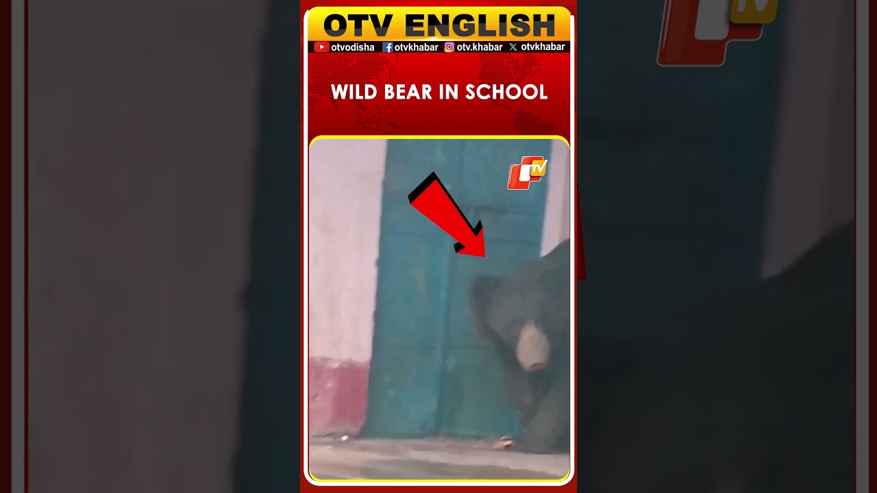 Bear Sneaks Into Odisha School, Leaves Villagers Terrified