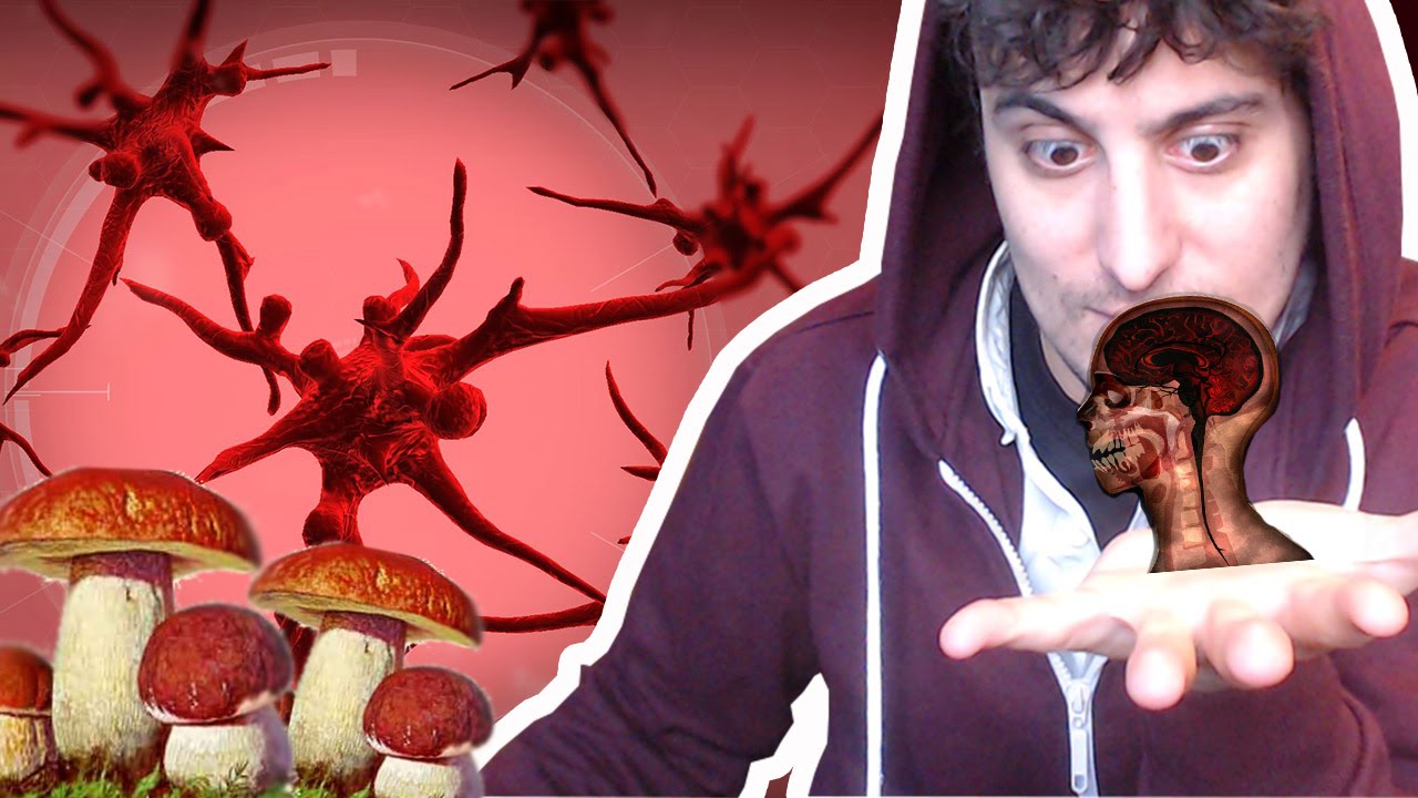 HONGOS EN LAS PISCINAS!! ES PERFECTO! |Plague Inc: Evolved| xFaRgAnx