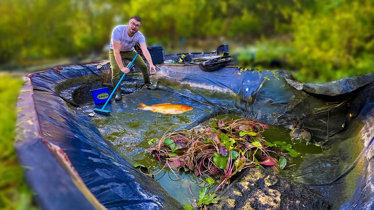 JE NETTOIE MON BASSIN A POISSON ! (c'&eacute;tait urgent...)