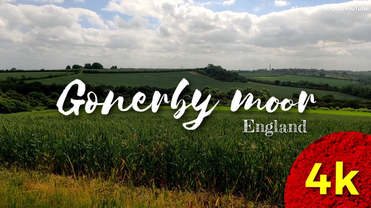 Gonerby Moor, Grantham,  Lincolnshire,  England.  Countryside in 4k UltraHD.  fields of wheat.