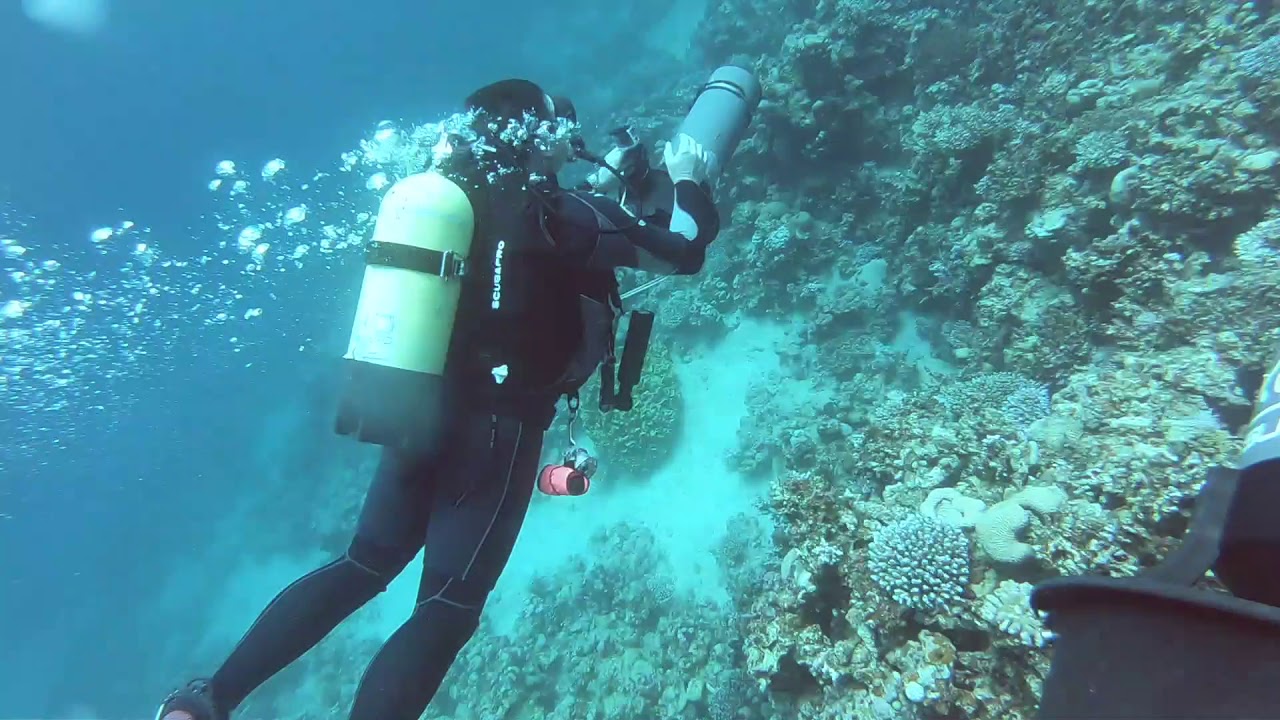 2.2km Scooter Dive! - DPV Dive to The Canyon from Tiger House in Dahab, Egypt