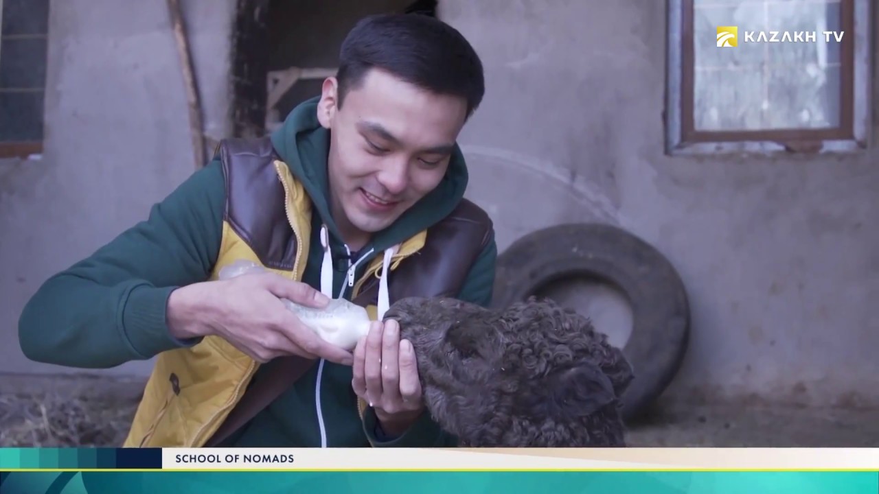 Маңғыстаудағы балық аулау. «Көшпенділер мектебі»