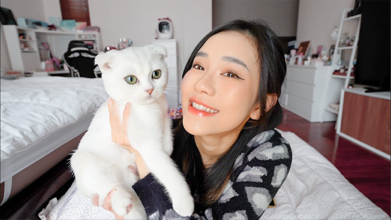 AKU BELI KUCING! LAGI!
