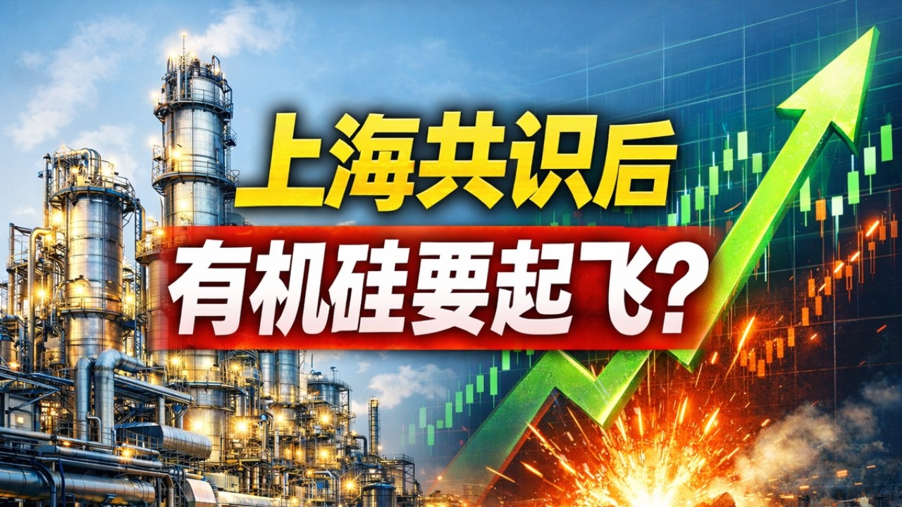 化工万金油迎来涅槃重生？有机硅龙头企业如何通过反内卷联盟打破囚徒困境，2026年出口退税取消将如何引爆行情？