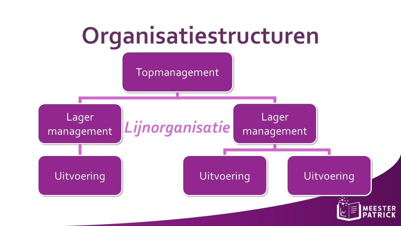 Organisatiestructuren | Bedrijfseconomie