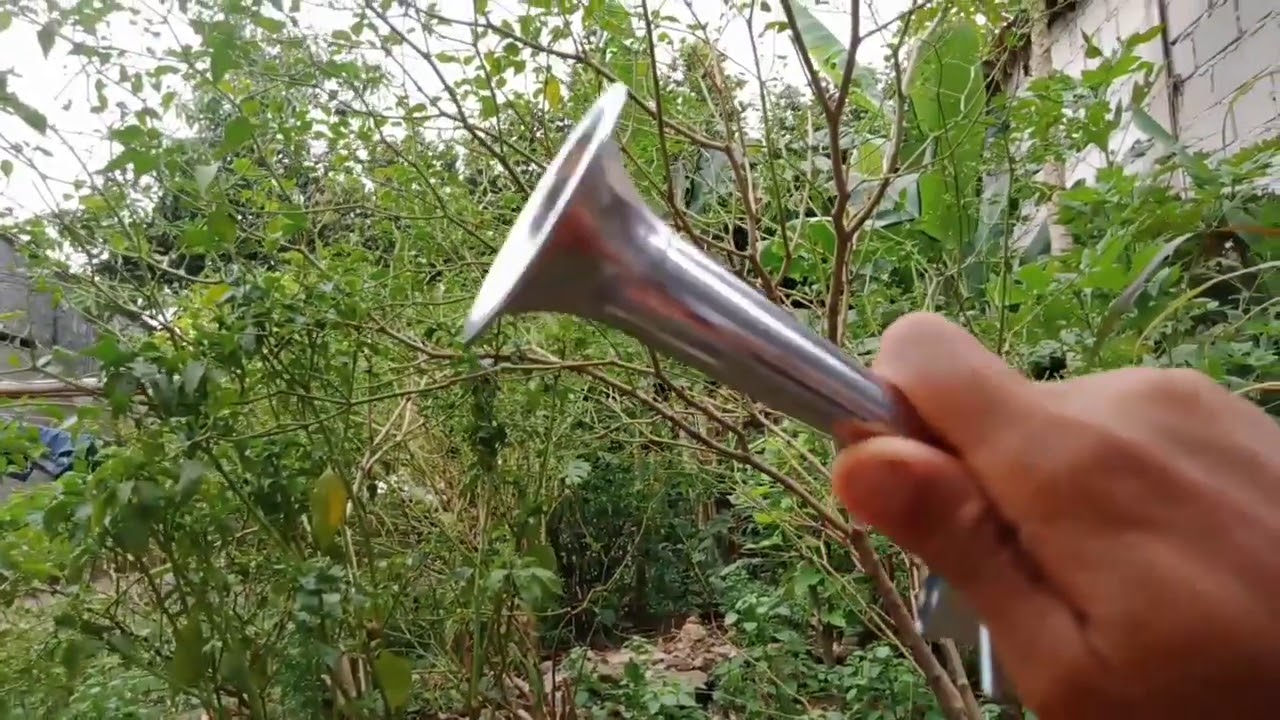 Kokek-Kokek  tanpa baterai