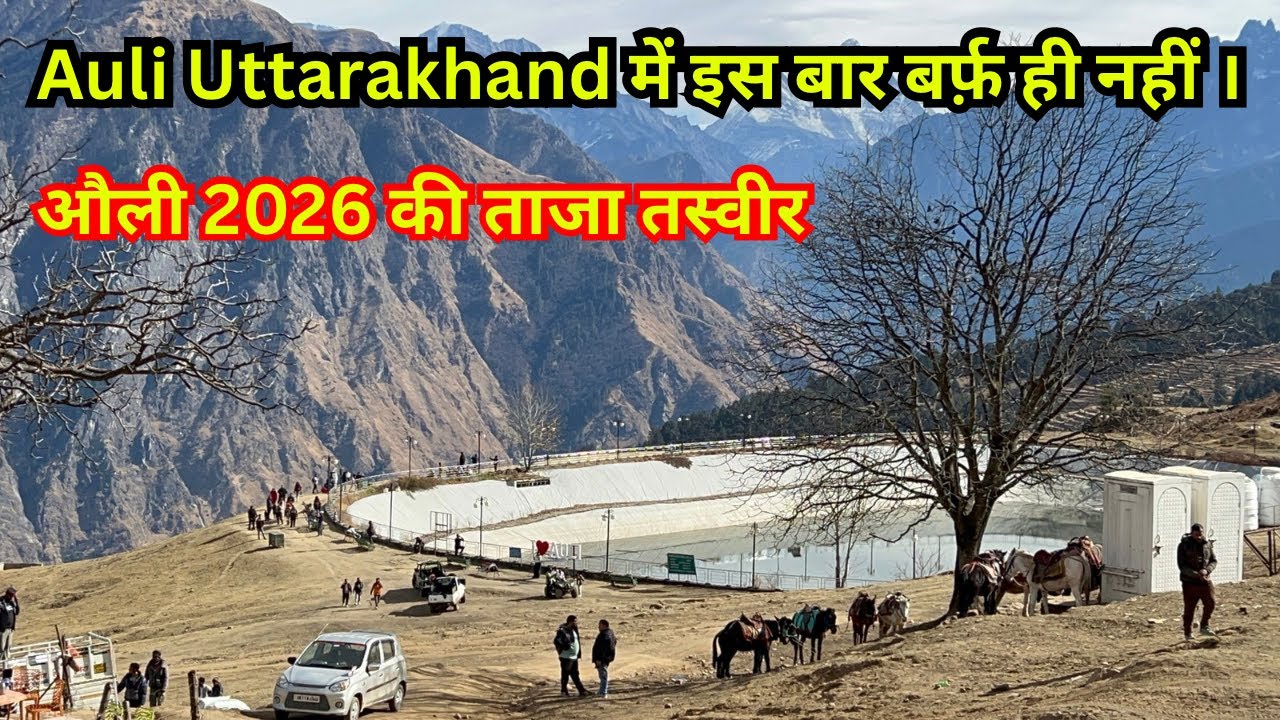 Auli Uttarakhand में इस बार बर्फ के बिना सूखा सूखा। औली की 2026 की ताजा तस्वीर। #auliuttarakhand 