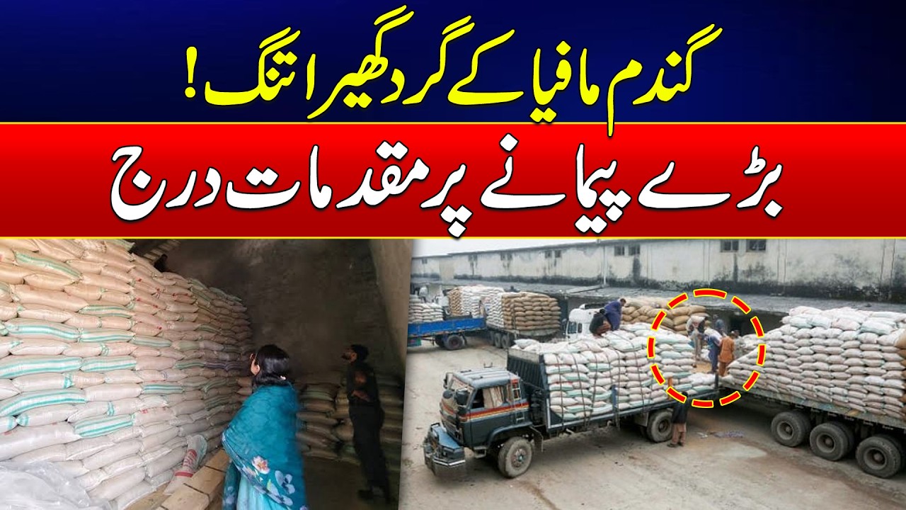 Crackdown on Wheat Smuggling and Hoarding Intensifies in South Punjab | News Update | Rohi