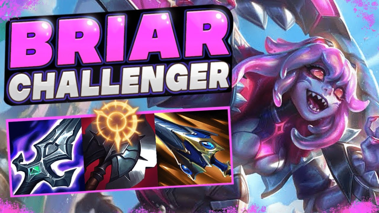 NEW Briar Jungle CARRY Build For Climbing All Ranks