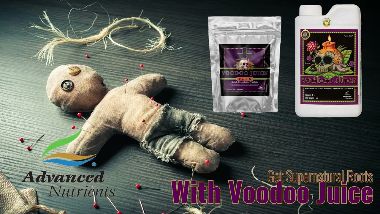 Voodoo Juice from @advancednutrients will give you supernatural root growth!