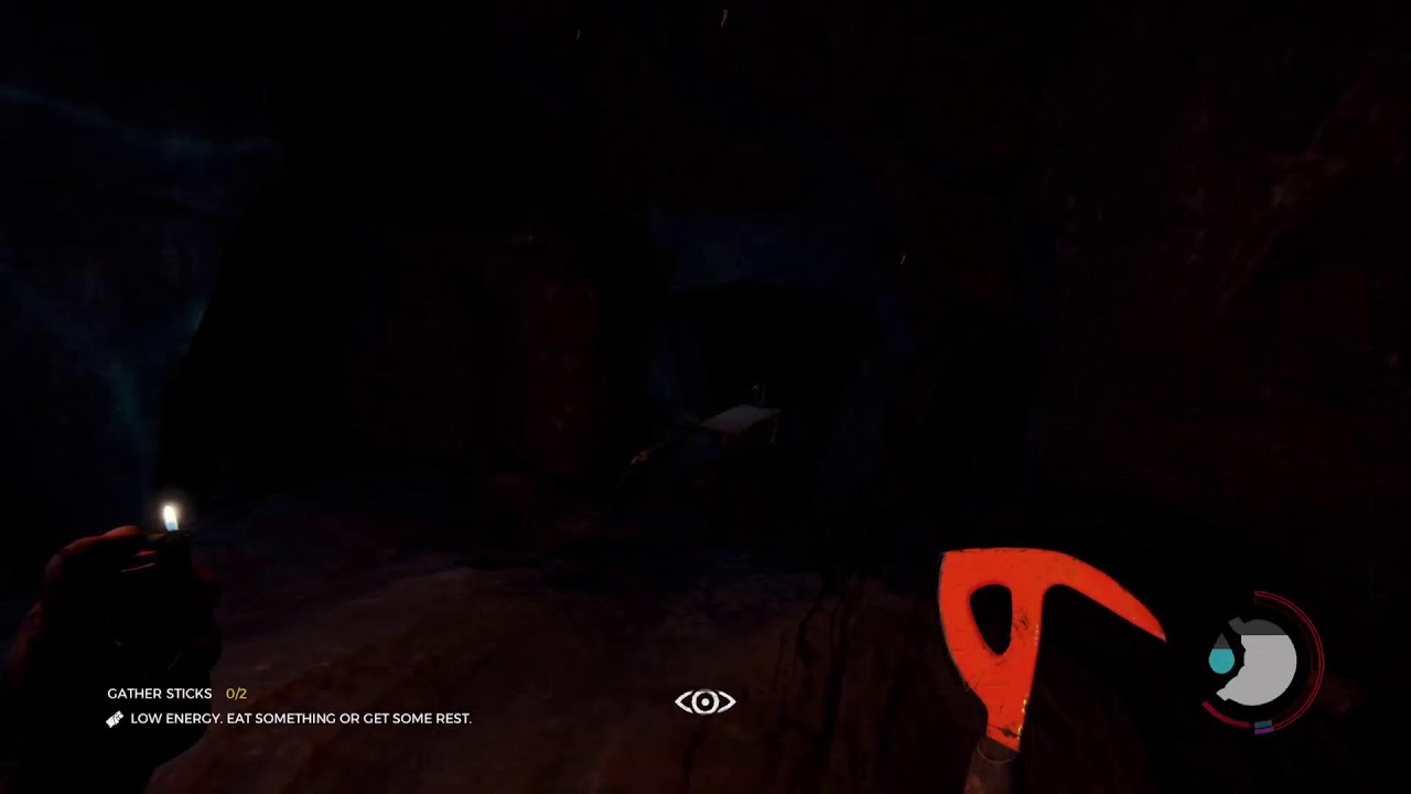 The Forest. Single player. New to game.