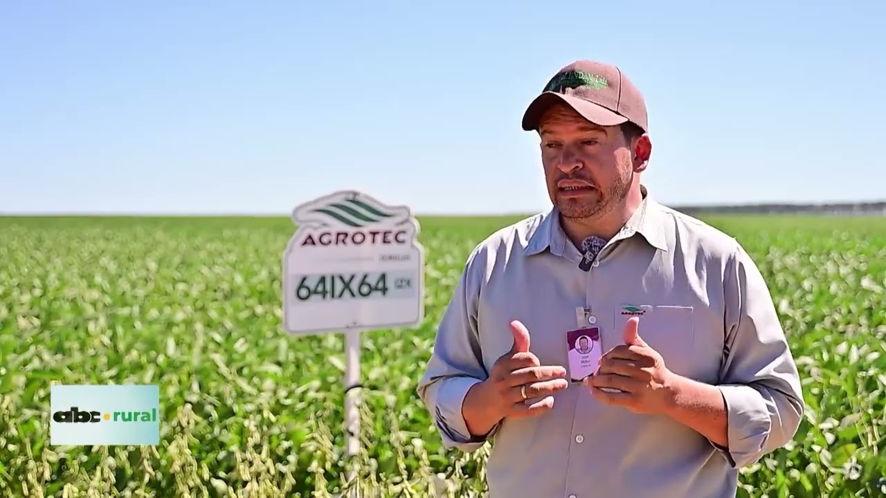 Компания Agrotec представила сорта сои, адаптированные к условиям Севера.