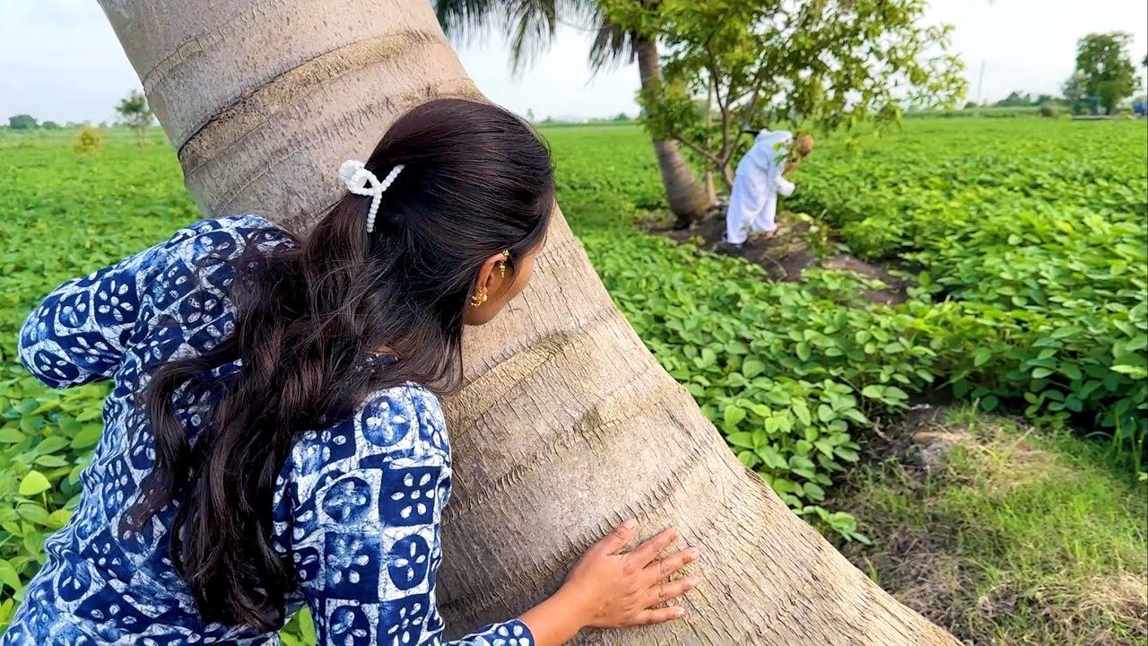 पेरूच्या झाडावरचा खवीस मागे लागला 🫢