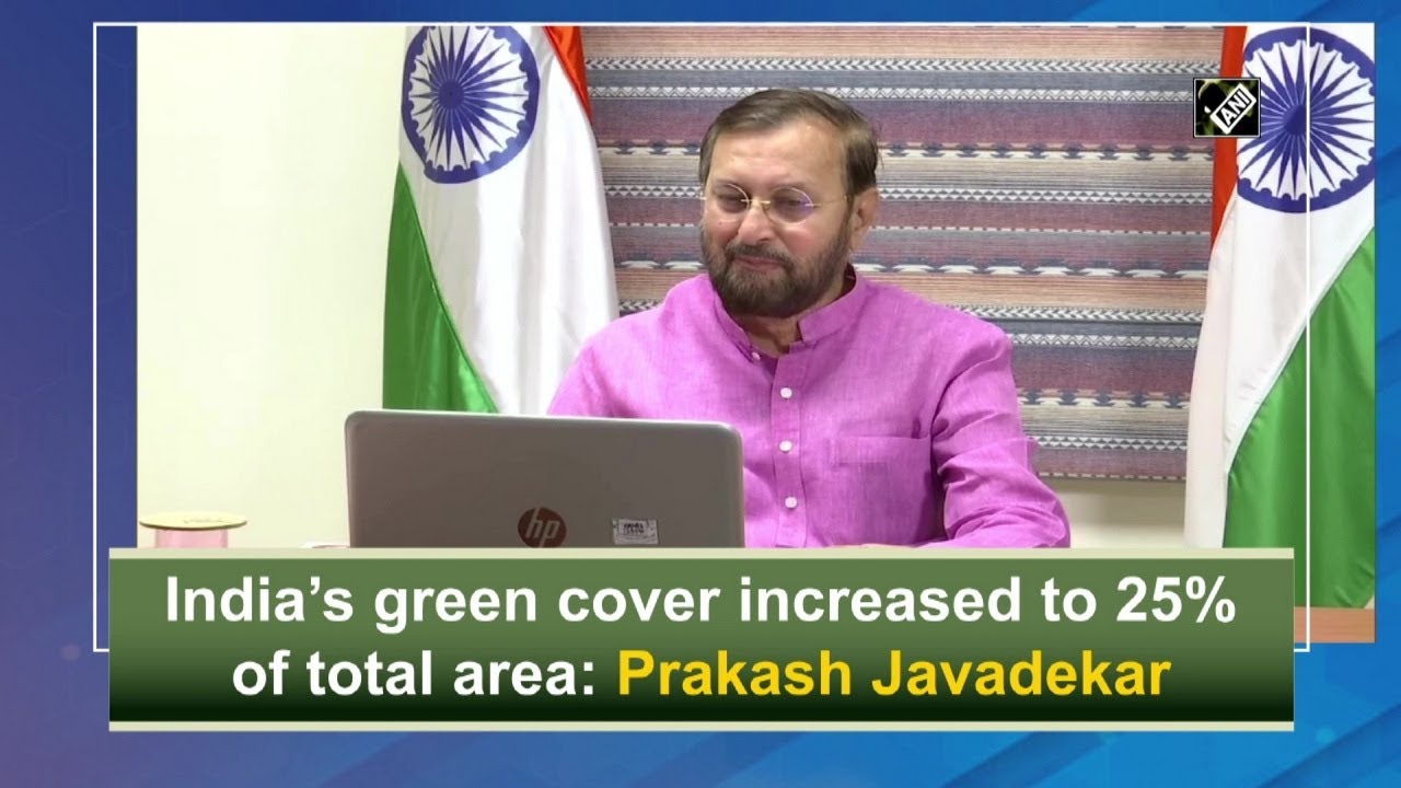 India&rsquo;s green cover increased to 25% of total area: Prakash Javadekar