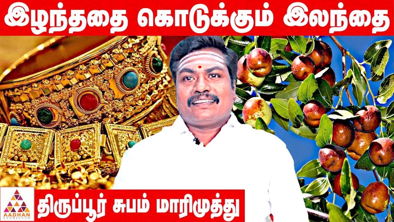 வாழ்க்கையில் சாதிக்க எளிய பரிகாரங்கள் | ஜோதிடஞானி சுபம் மாரிமுத்து 94449 51573  | #பரிகாரம்