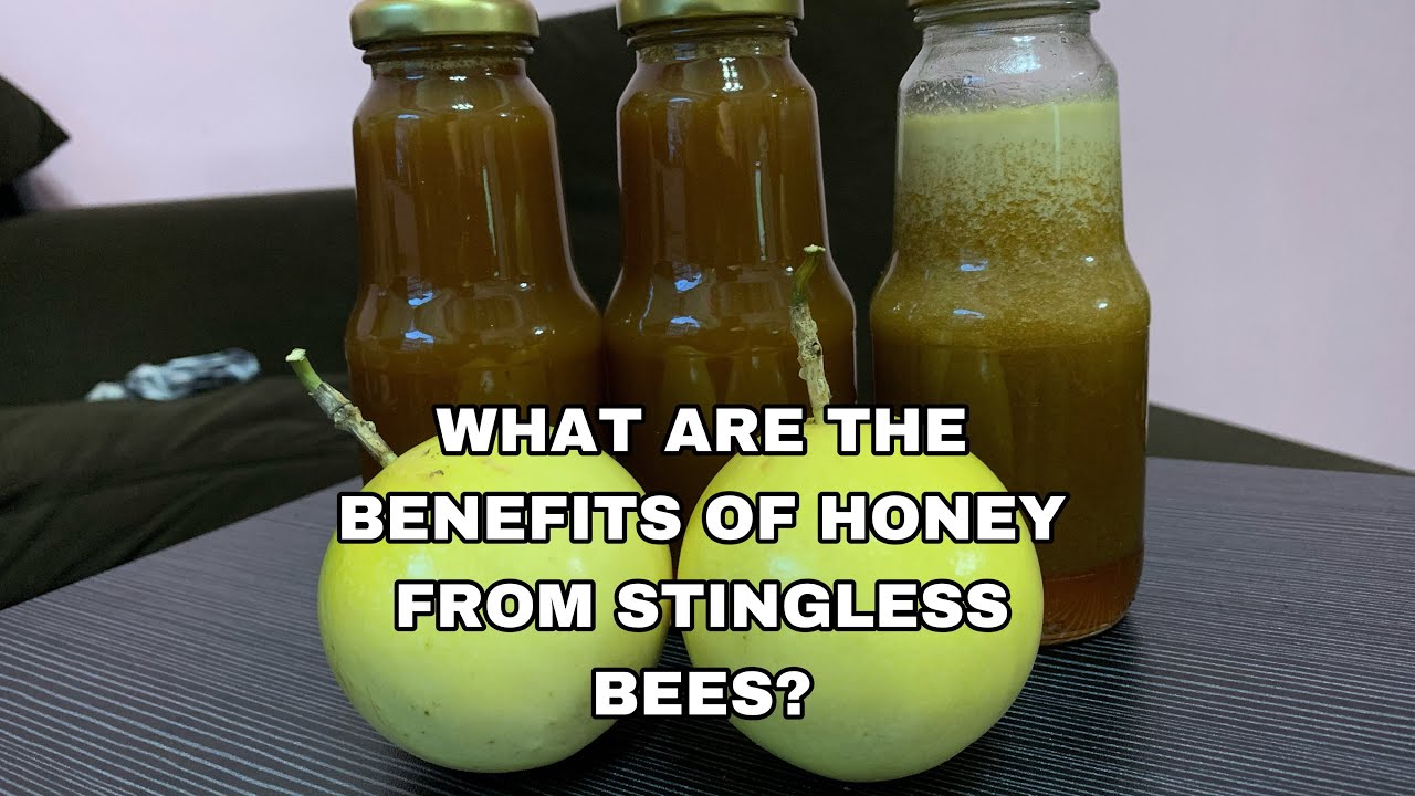 What are the benefits of honey from stingless bee?