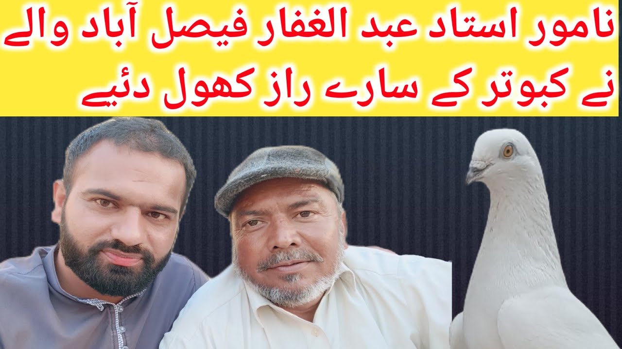 KABOOTAR BAZI INTERVIEW USTAD MASTER ABDUL GAFAR FASLABAD 😍😘 || KABOOTAR BAZI YAZMAN