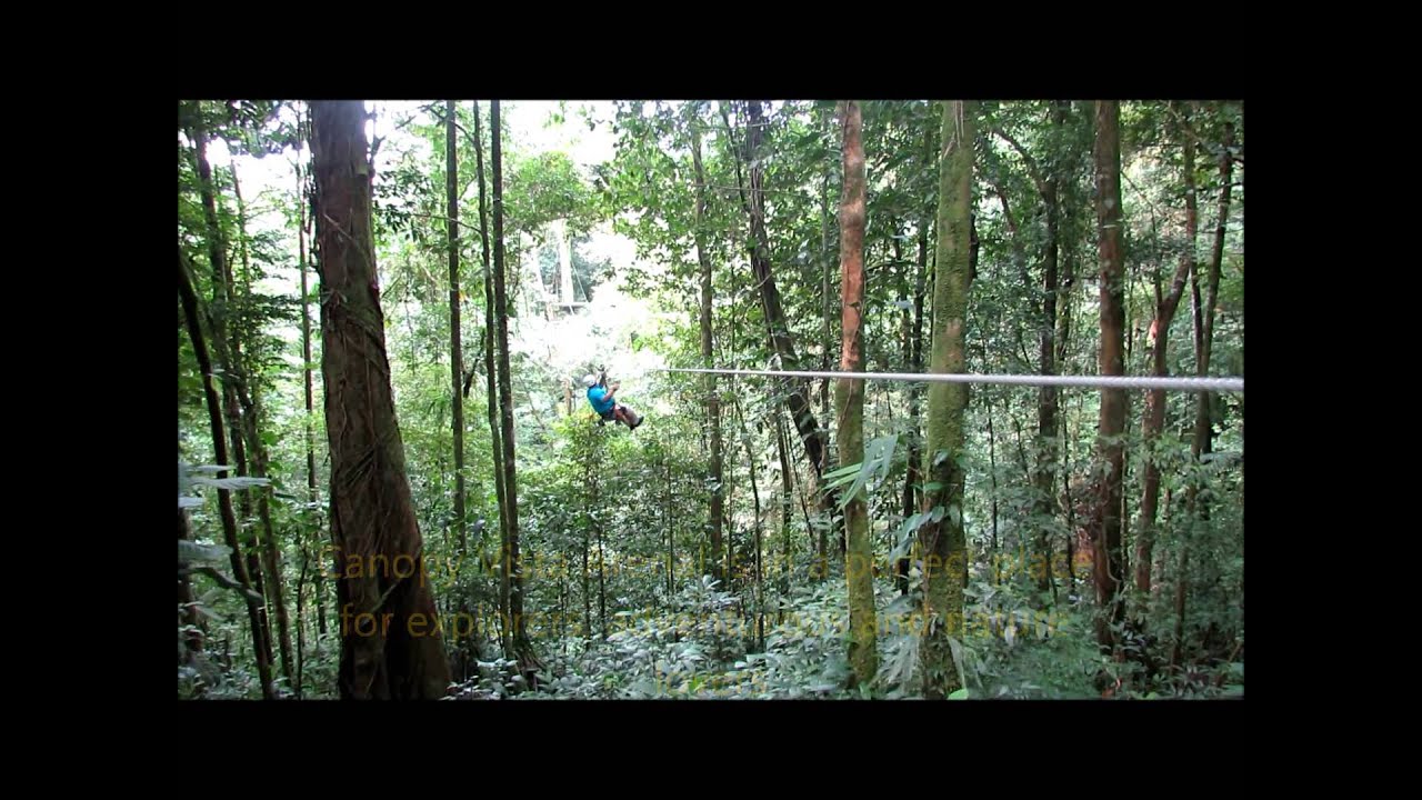 Canopy Vista Arenal La Fortuna
