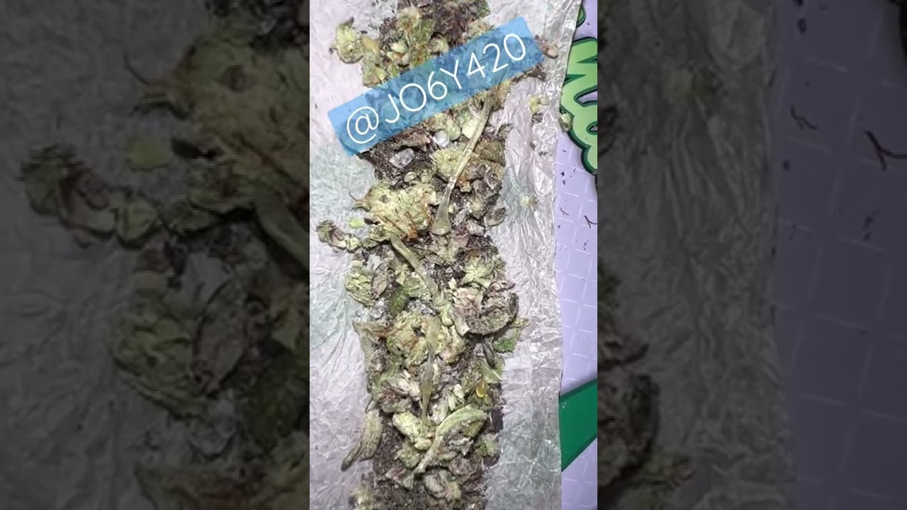 Subscribe for more! Shatter and THC Diamonds joint! #high #420 #short #youtubeshorts #cannabis