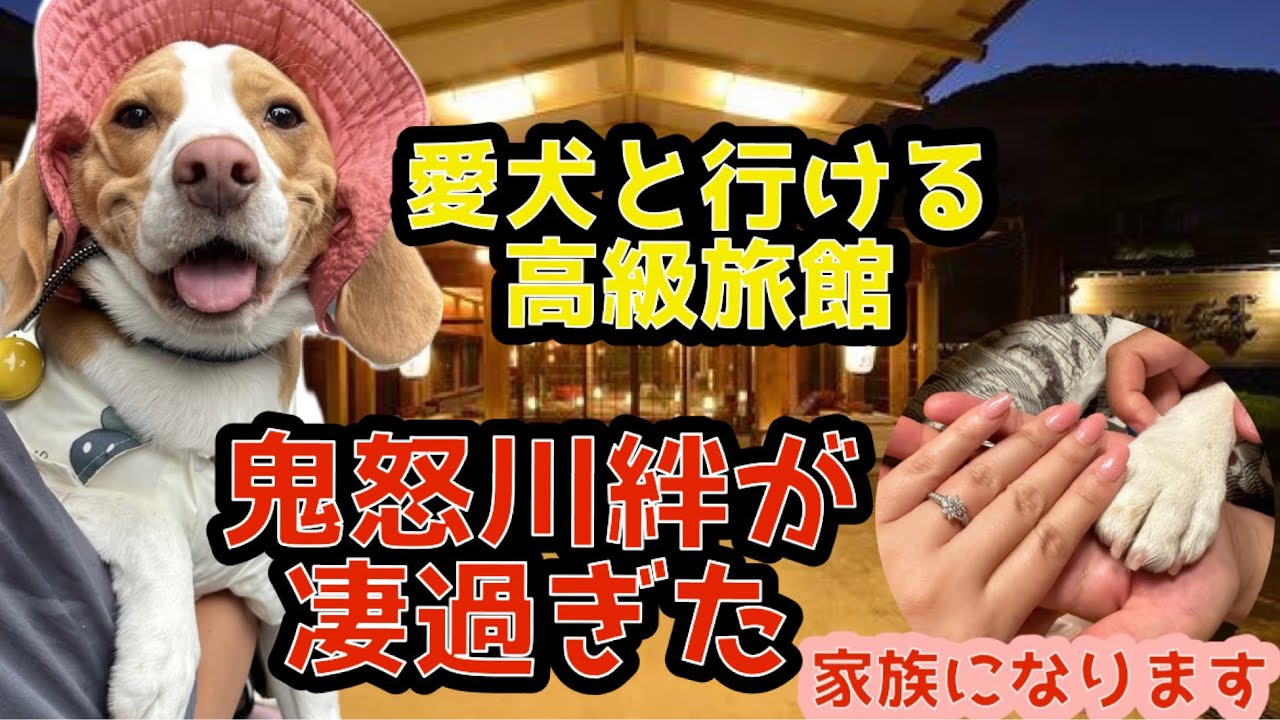 【極上】愛犬と行ける高級旅館が凄過ぎた〜in鬼怒川絆〜