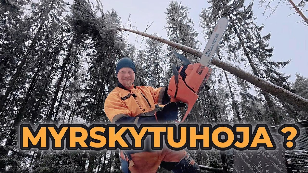 Valmettiin uusi penkki ja myrskytuhojen korjuuta