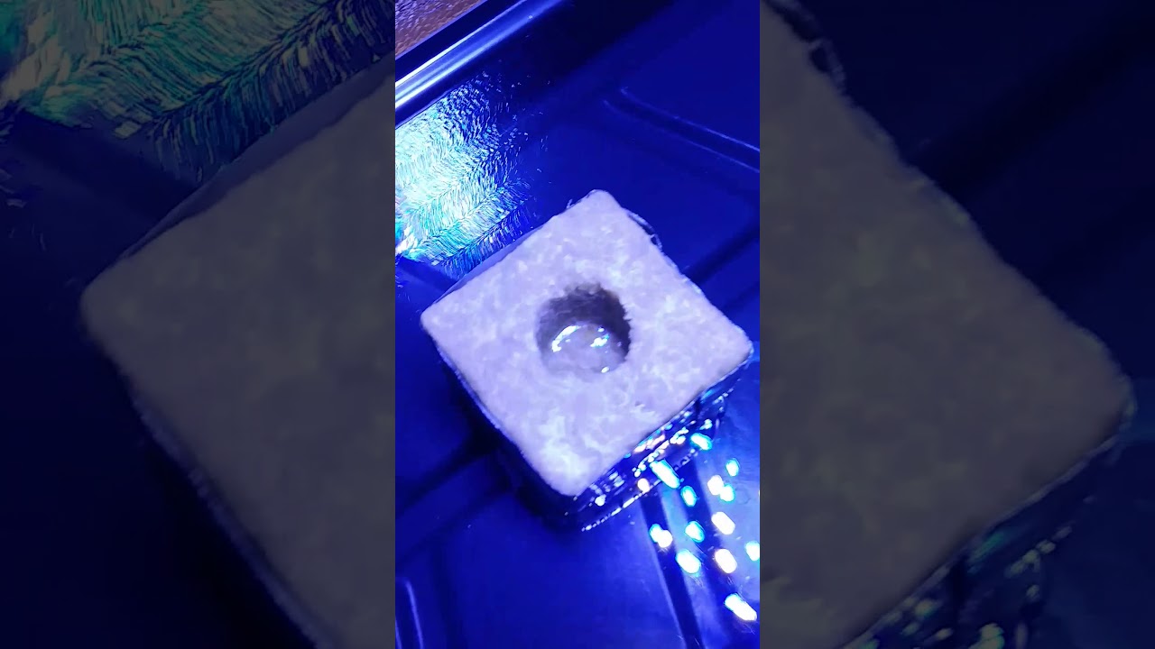 Test run of the new hydro table😳😀