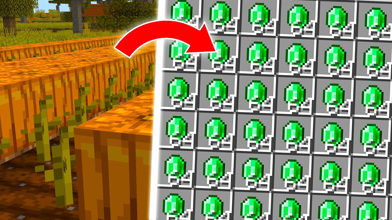 I Got Infinite Emeralds on Lifesteal SMP