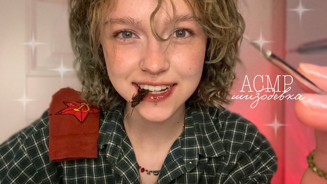 𝙰𝙲𝙼𝙿 ~ шизодевка лечит вас от либерального влияния  // ролевая игра   ೃ 🪳‧࿁ &deg;｡༅.