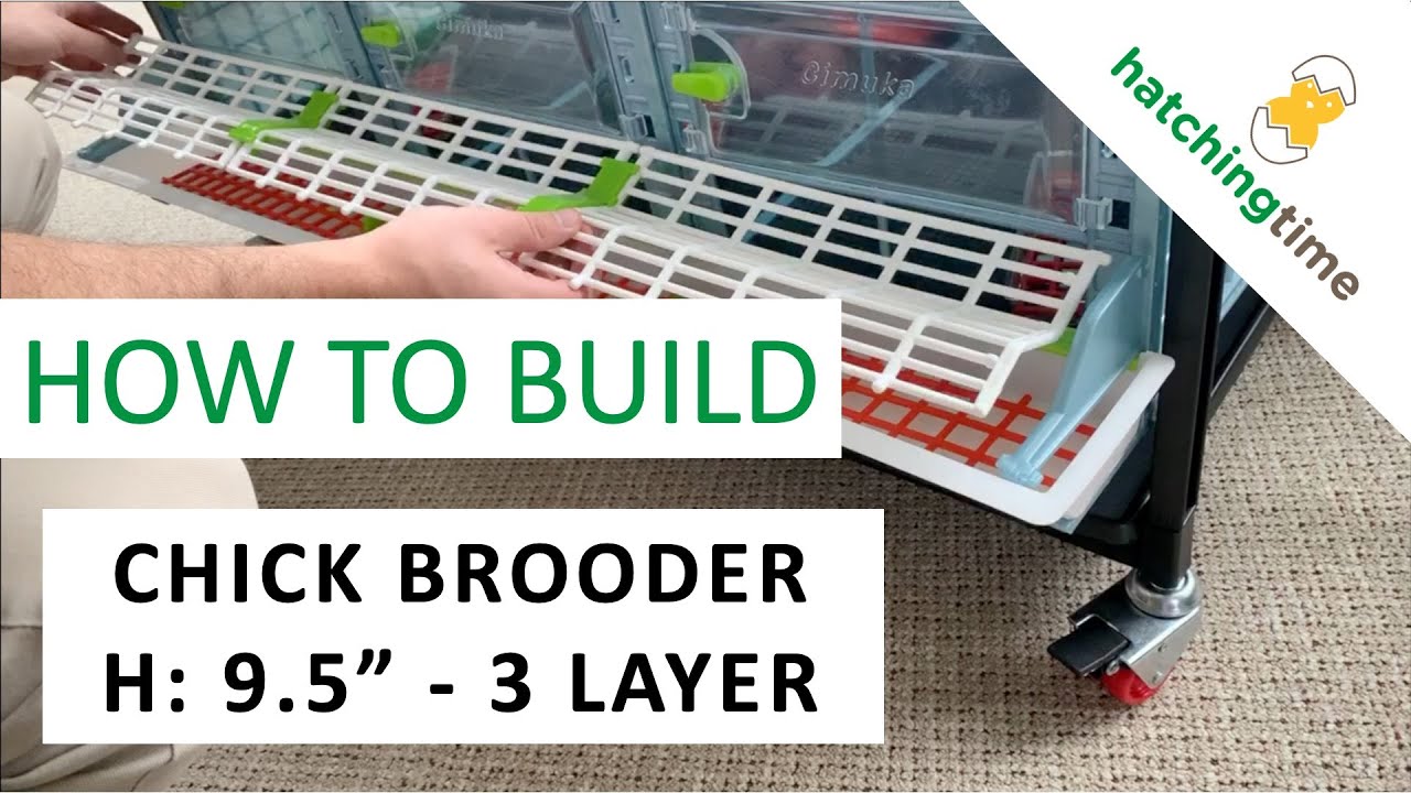 Chick Brooder - H: 9.5