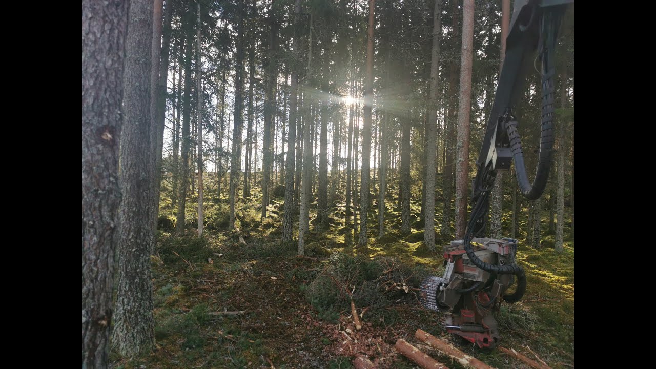 EcoLog 590E Logmax 6000B