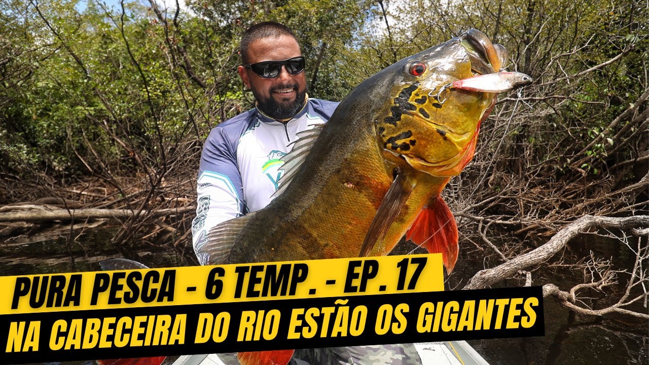 PURA PESCA 6ª TEMPORADA - EP.17 - NA CABECEIRA DO RIO ESTÃO OS GIGANTES. Rio Itapará