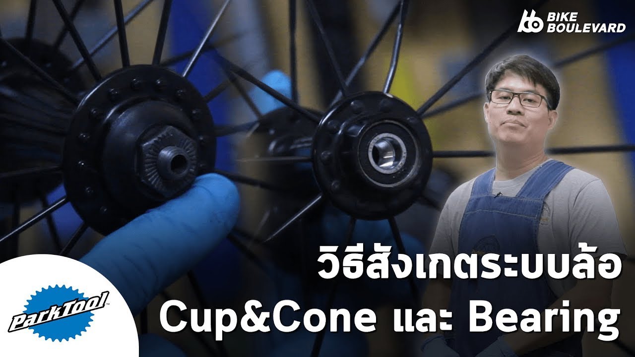 วิธีสังเกต ลูกปืนล้อจักรยาน ว่าเป็นระบบ Cup and Cone หรือ Cartridge Bearing โดย พี่เอ็กซ์
