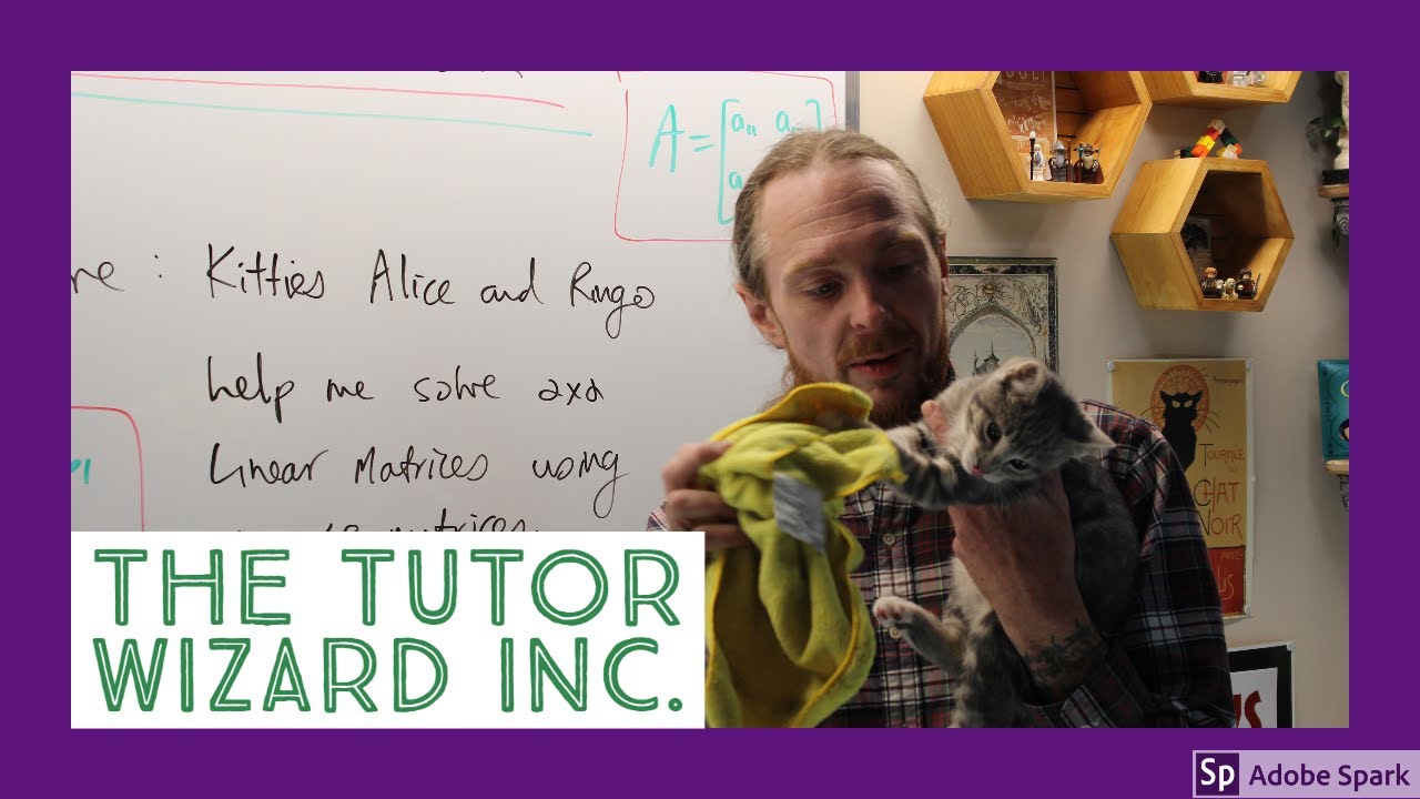 Cat Math Fever! Ep.1