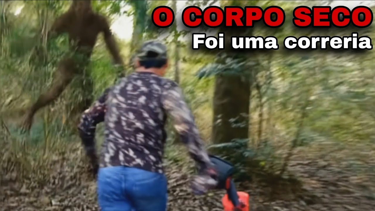 O pedaços ficaram espalhados no chão! 😱