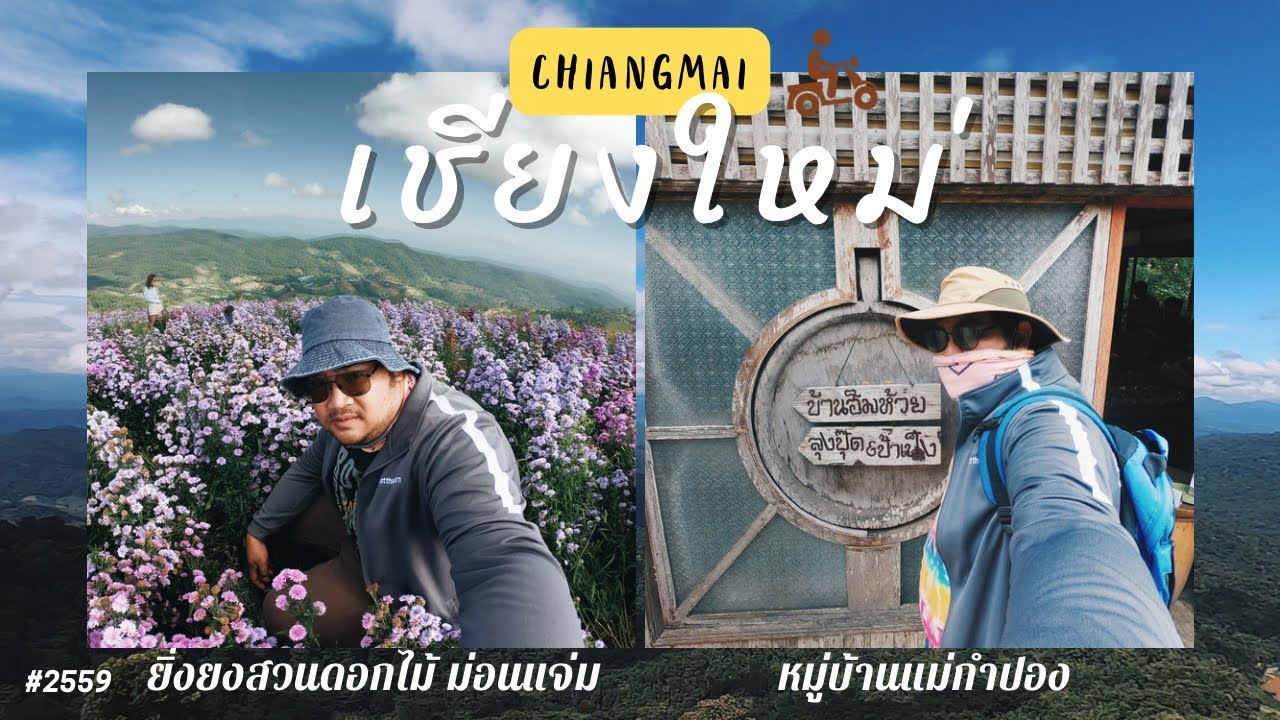 สวนดอกไม้ยิ่งยง...แม่กำปอง - เชียงใหม่ Chiangmai Thailand