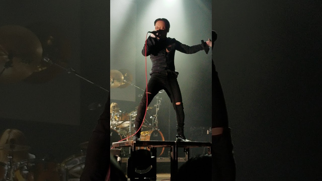 Dir en Grey - The World of Mercy (Tour 19 This Way to Self-Destruction)