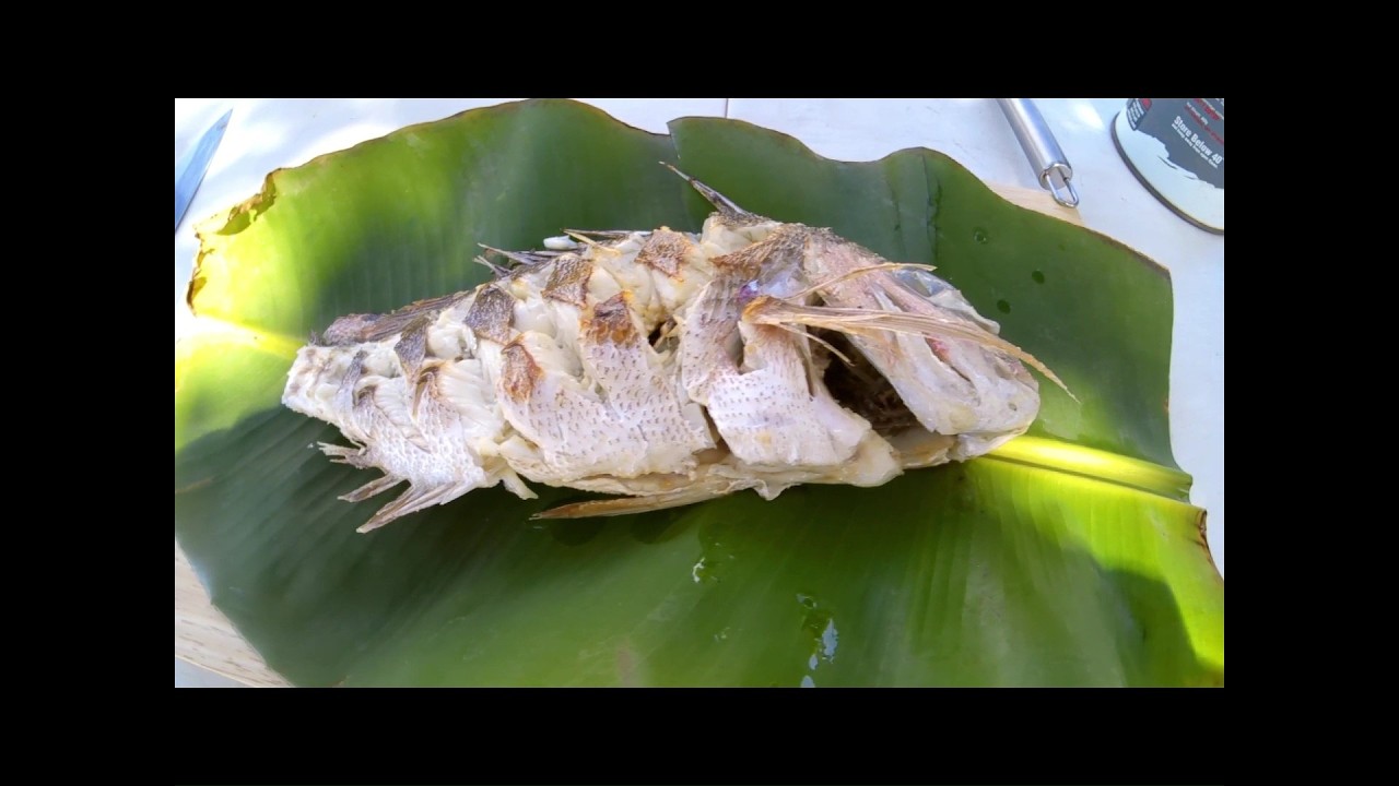 Moreton Bay Snapper Catch and Cook
