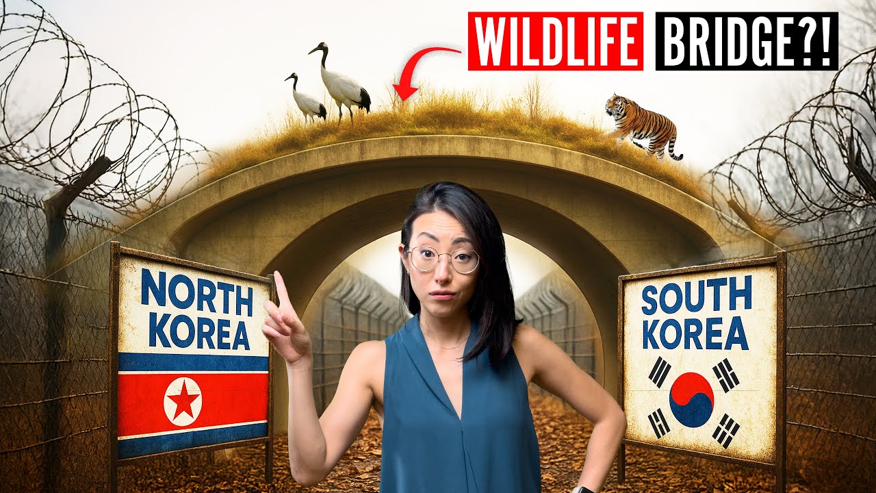 Why The Most Dangerous Border on Earth needs a Wildlife Bridge