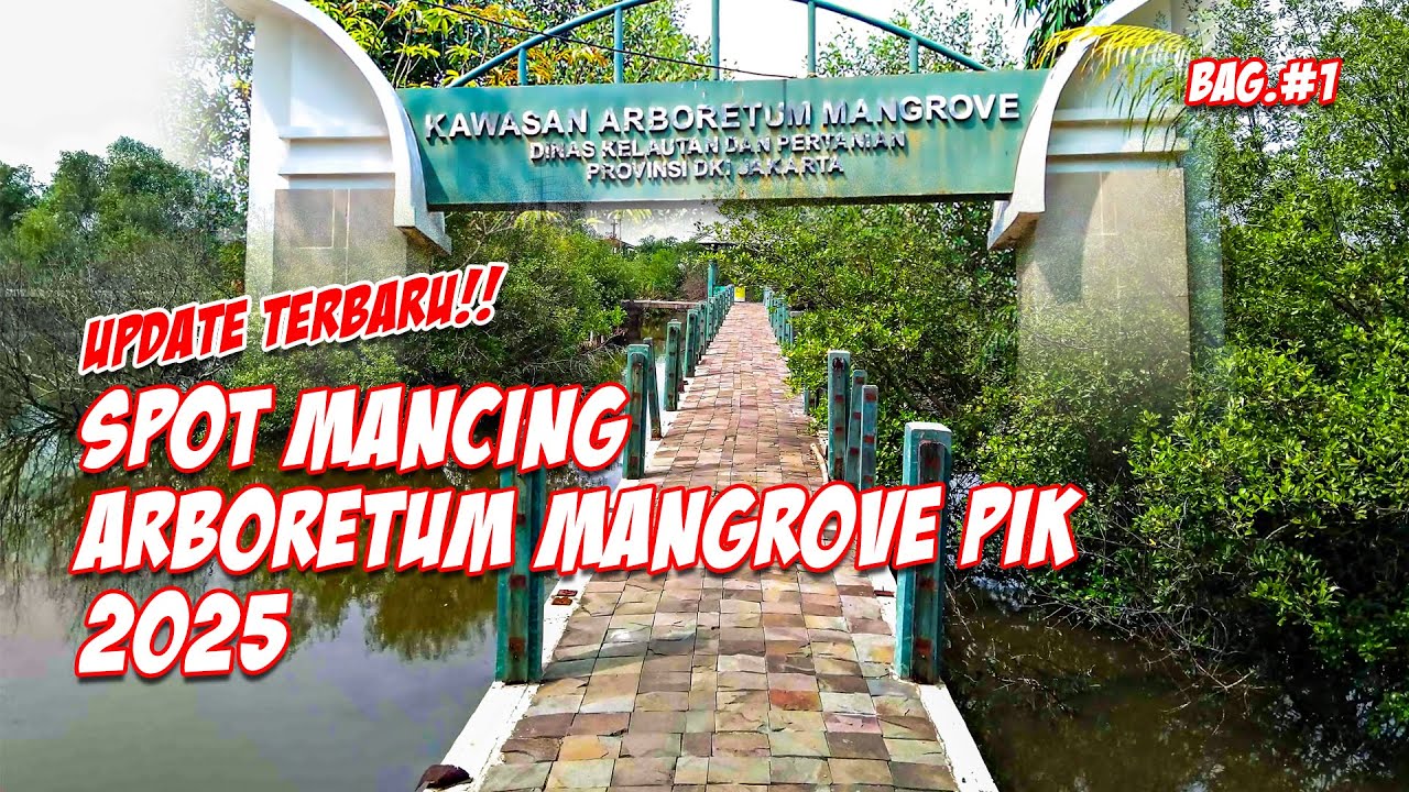 UPDATE TERBARU!! Spot Mancing Arboretum Mangrove PIK Jakarta Utara 2025 Part.1