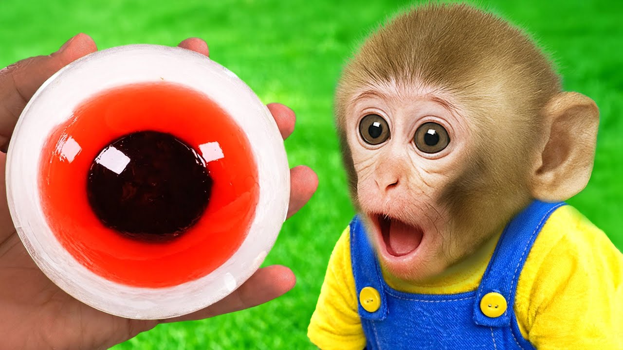 Mono Luna se pone una máscara y persigue al monito travieso 😲🐒 | MONO LUNA ESP