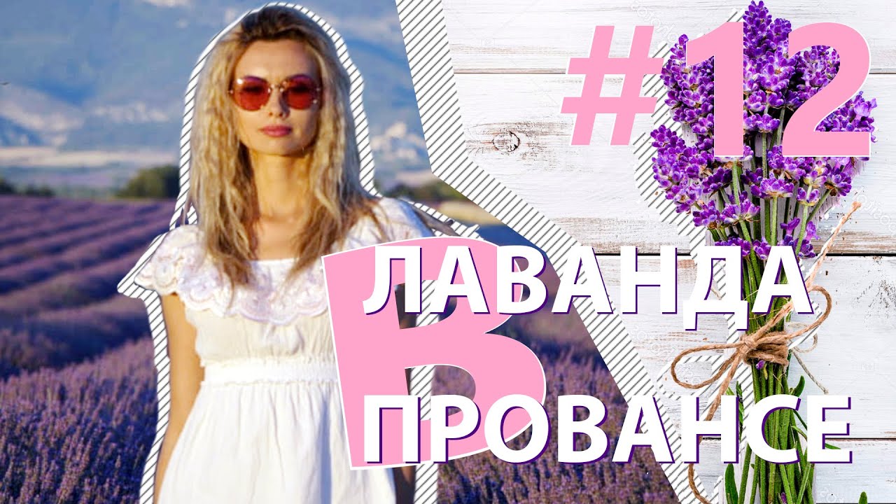 Лавандовые поля в Провансе: где их найти? Вердонское ущелье, Мустье, Кастеллан #BarbaraDan #лаванда
