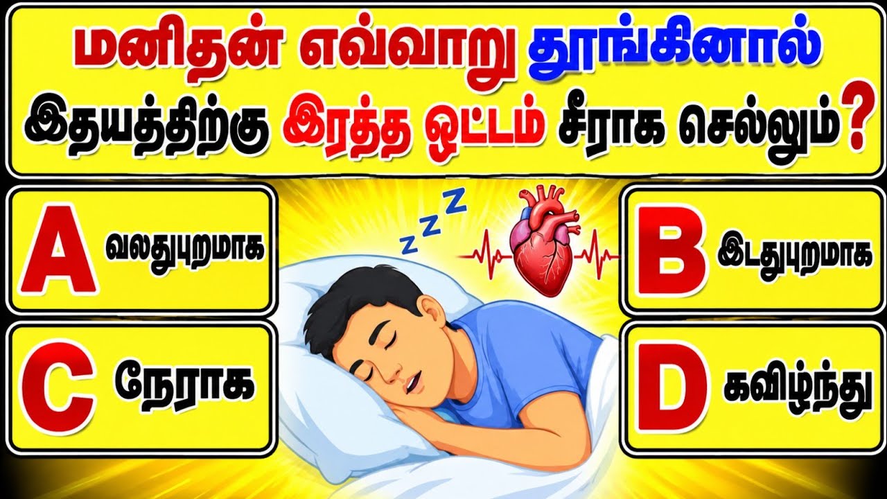 gk questions in tamil | gk questions and answers in tamil | gk question | @Study__My__Way 