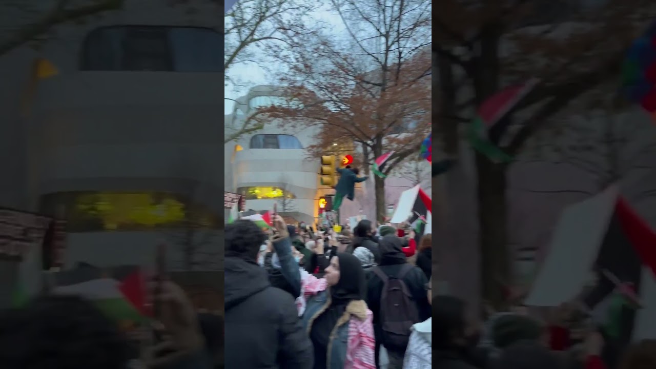 🇵🇸 Palestinian Colors Smoke Bombs in Protest Manhattan New York