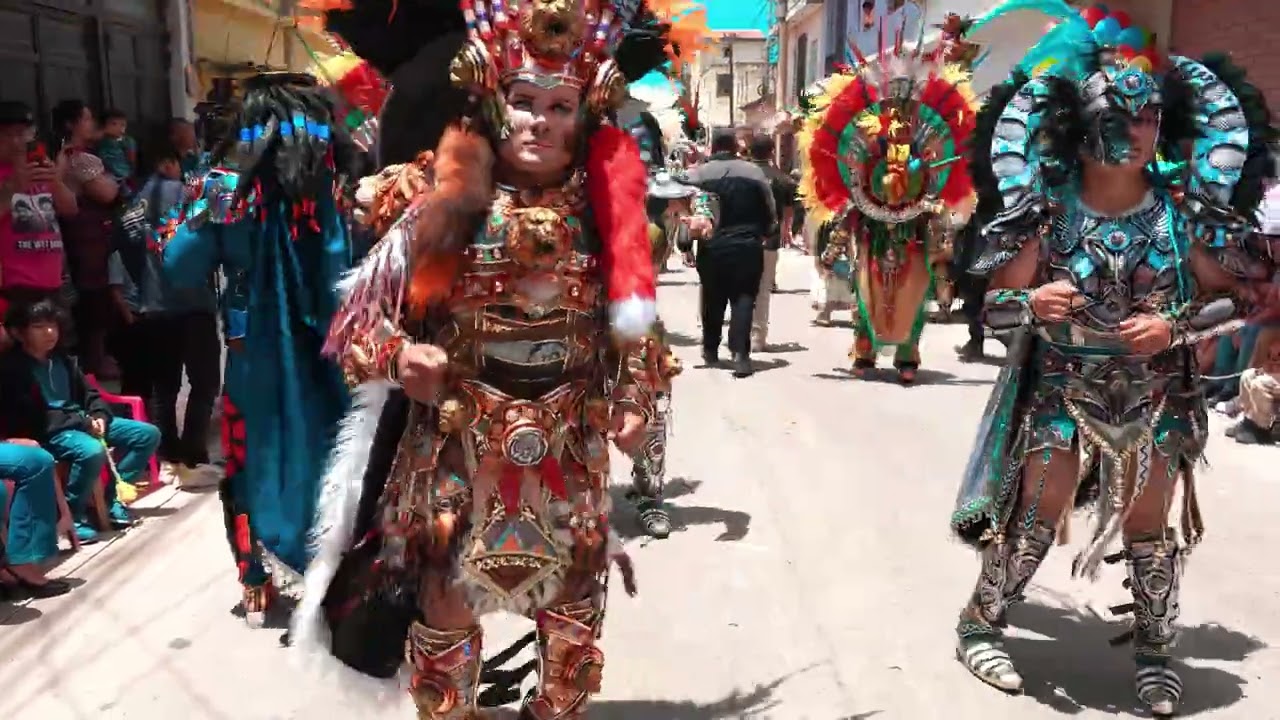 Flores Peteneras - Internacionales Conejos 4K