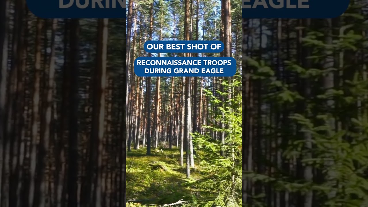 Our reconnaissance forces are invisible? | GRAND EAGLE | QUADRIGA | Bundeswehr