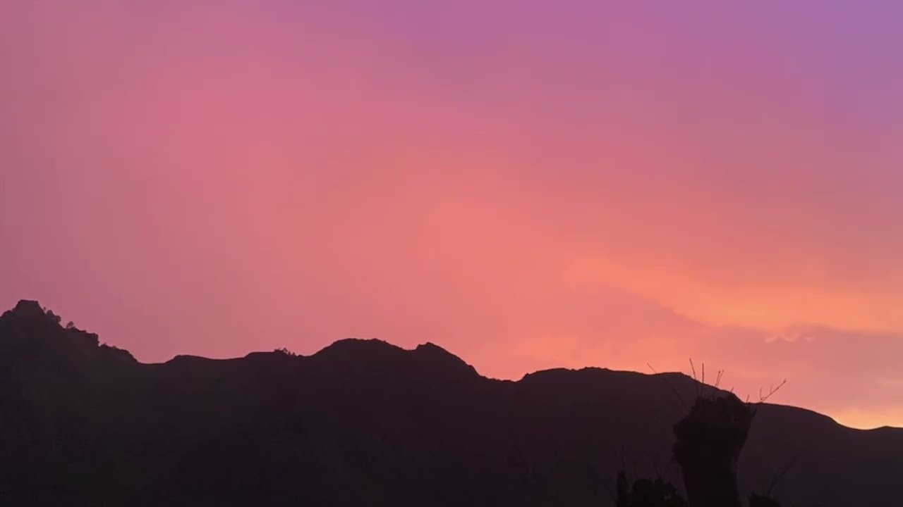 OLB - Another Palette
