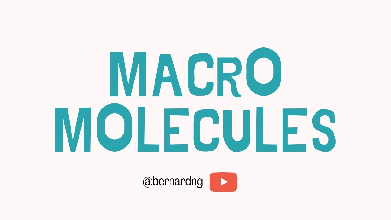 O-Level Chemistry | 25 | Macromolecules [2/2]
